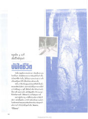 บันไดชีวิต