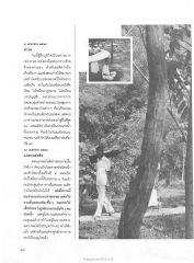 การค้นหาศูนย์กลางกาย