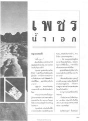 การกลับบ้านของครอบครัว