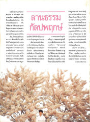 ภาพแห่งความมหัศจรรย์ในประเทศไทย