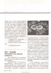 การฉันมื้อเดียวและฉันเจ