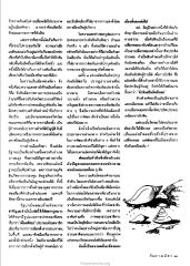 ความแตกต่างระหว่างหัวหินและพัทยา