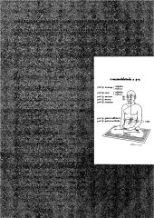 lungao anga — วารสารกัลยาณมิตร ปี 2533 ฉบับที่ 3 หน้า 36