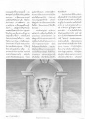 การอธิษฐานและความสงสาร
