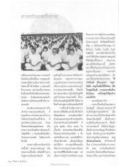 การแสวงหาความสุข