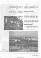การปกครองและการศึกษาของพระสงฆ์