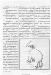 การเฉลิมฉลองและการเยี่ยมเยียน