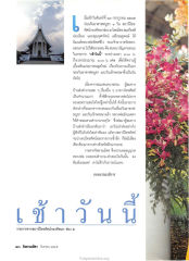 การสนทนาธรรมในรายการโทรทัศน์