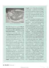 บทบาทขององค์การสหประชาชาติในการรักษาสันติภาพ