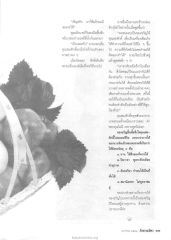 ของขวัญและการทำความดี