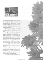 ความน่ารักและความเคารพของครู