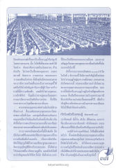 การถวายมหาสังฆทาน