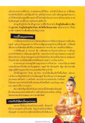 การเลี้ยงกุมารทอง
