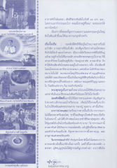 การจัดการกับวัตถุโบราณและวิบากกรรม