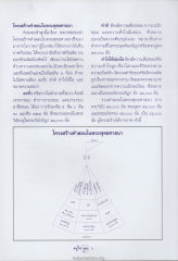 โครงสร้างคำสอนในพระพุทธศาสนา