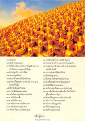 ลักษณะของใบหน้าและร่างกาย
