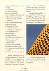 ลักษณะผิวพรรณและเส้นผม