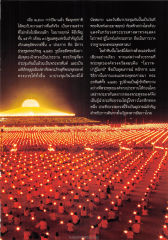 วันมาฆบูชา