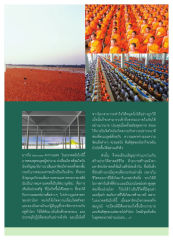 การสร้างมหารัตนวิหารคด