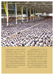 ประเพณีการทอดกฐิน