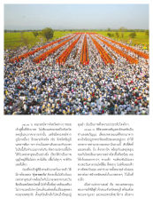 บรรยากาศพิธีตักบาตร