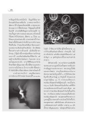 การวางแผนชีวิต