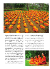 การบวชพระทั่วประเทศ