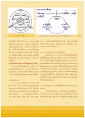 กระบวนการศึกษาและการฟื้นฟูศีลธรรม