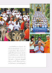 โครงการบวชพระเข้าพรรษา 900,000 รูป