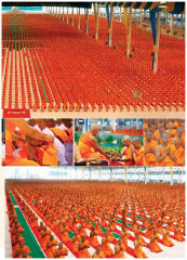 at Wat P — วารสารอยู่ในบุญ ปี 2554 ฉบับที่ 103 เดือนพฤษภาคม หน้า 33
