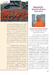 ประสบการณ์การนั่งสมาธิ