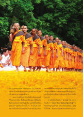 ดอกดาวรวยและการต้อนรับพระธุดงค์
