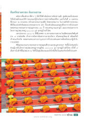 พิธีบรรพชา ณ ลานธรรม
