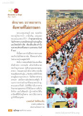 การตักบาตรพระ