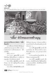 ความหมายของคำว่า 'ปลื้ม'