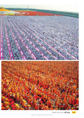 พฤษภาคม ๒๕๕๙ — วารสารอยู่ในบุญ EU ปี 2559 ต้นทาง 689 เดือนมิถุนายน หน้า 31