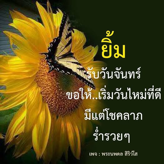 การ์ด No.13093:ภาพสวัสดียามเช้า