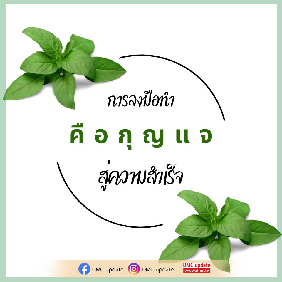 ภาพ No.16488:ทั่วไป