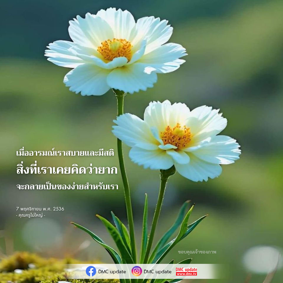 ค้นพบวิธีการทำให้ชีวิตของคุณง่ายขึ้นเมื่ออารมณ์สบายและมีสติ ผ่านคำสอนจากคุณครูไม่ใหญ่ พร้อมเคล็ดลับในการพัฒนาตนเองที่คุณไม่ควรพลาด