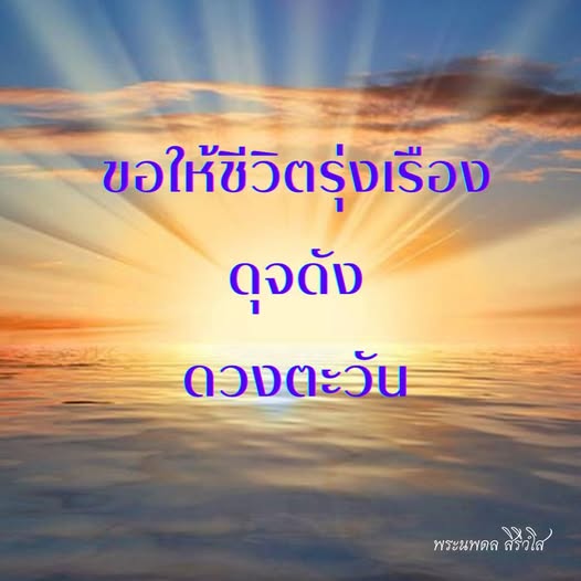 การ์ด No.12409:พระนพดล สิริวํโส