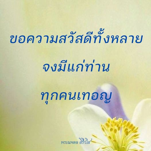 การ์ด No.8746:พระนพดล สิริวํโส