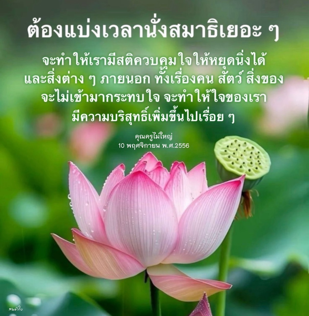 การนั่งสมาธิเป็นวิธีที่มีประสิทธิภาพในการเพิ่มสติและควบคุมจิตใจ เพื่อให้เราหยุดนิ่งและไม่ถูกกระทบจากสิ่งต่าง ๆ ภายนอก ทำให้ใจของเราบริสุทธิ์และสงบมากยิ่งขึ้น เรียนรู้เพิ่มเติมจากคุณครูไม่ใหญ่