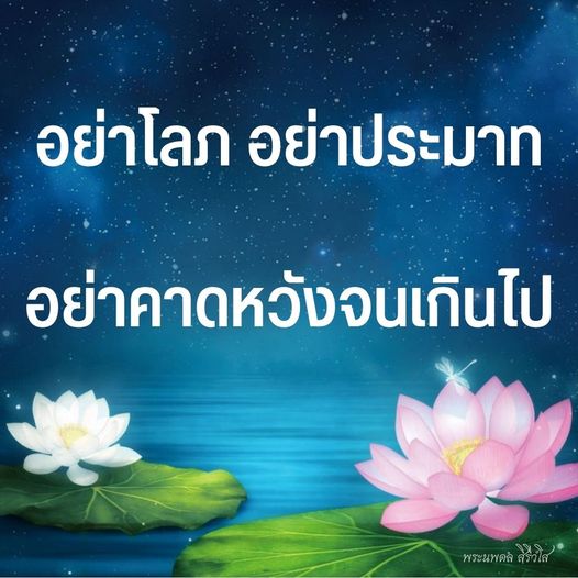 การ์ด No.11230:พระนพดล สิริวํโส