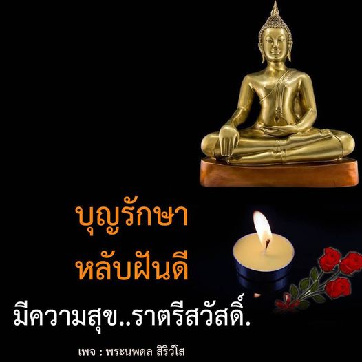 การ์ด No.11339:ราตรีสวัสดิ์