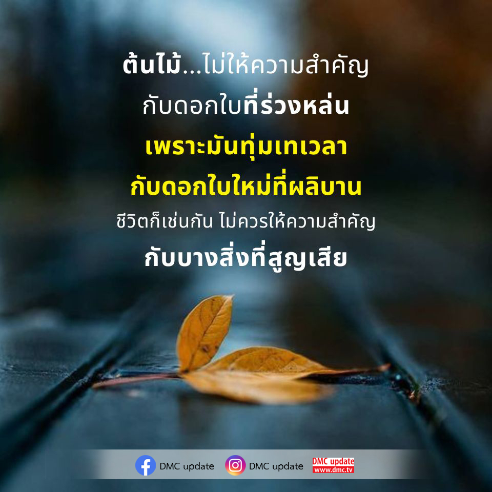 เรียนรู้จากต้นไม้ที่ไม่ให้ความสำคัญกับดอกใบที่ร่วงหล่น แต่กลับมุ่งเน้นไปที่การผลิบานของดอกใบใหม่ ชีวิตก็เช่นกัน ควรปล่อยวางสิ่งที่สูญเสียและมองไปข้างหน้าเพื่อการเติบโตที่ดีขึ้น