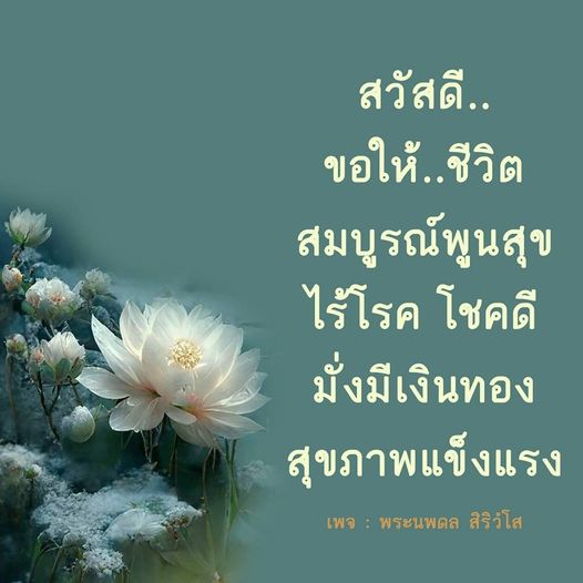 การ์ด No.9313:ภาพสวัสดียามเช้า