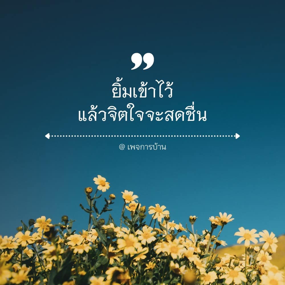 การ์ด No.11499:กำลังใจให้คุณ