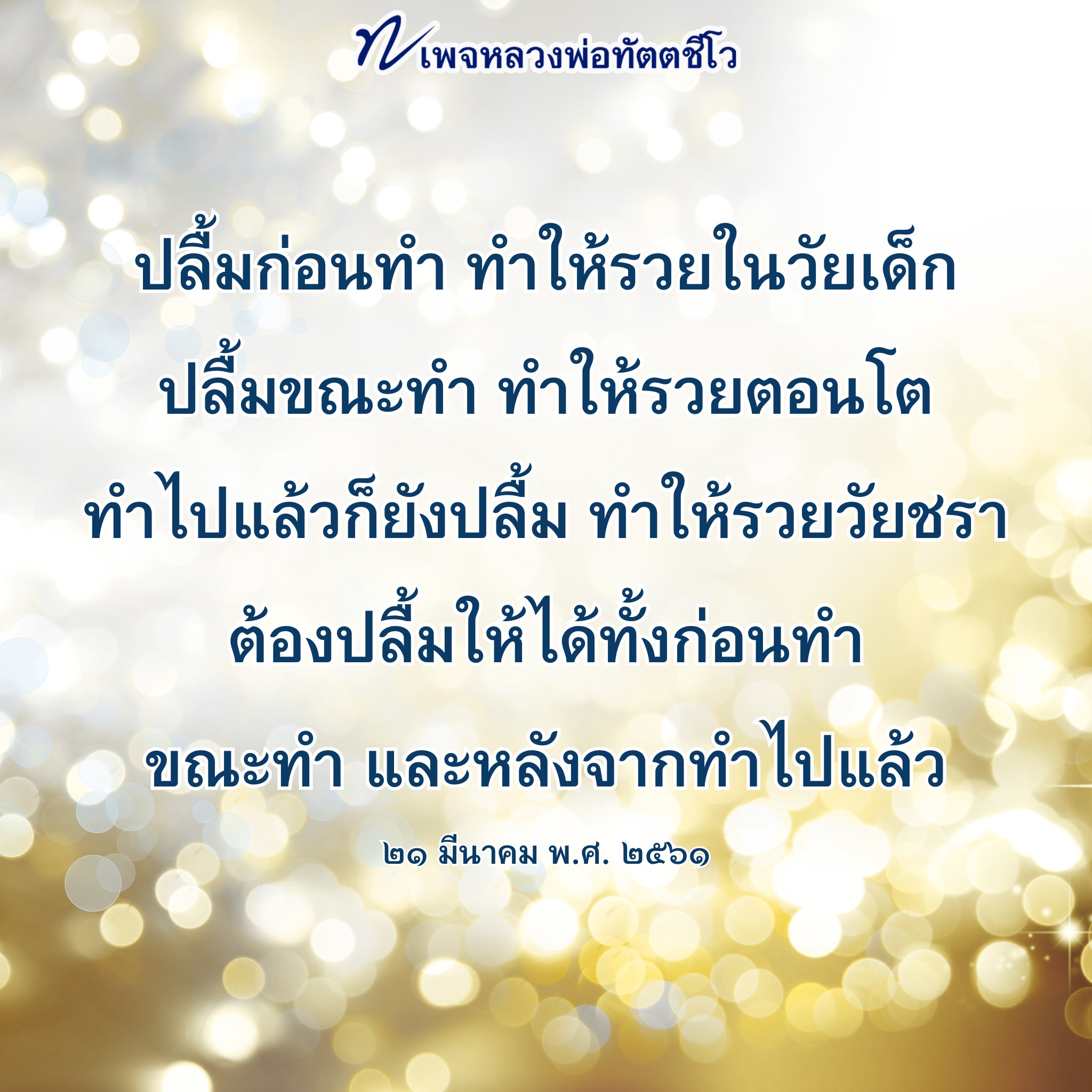 ภาพ No.16547:ทั่วไป