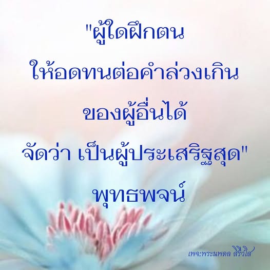 เรียนรู้วิธีการฝึกความอดทนต่อค่าล่วงเกินของผู้อื่นผ่านพุทธพจน์ที่มีความหมายลึกซึ้งจากพระนพดล สิริวโส เพื่อพัฒนาตนเองและเป็นผู้ประเสริฐในสังคม.