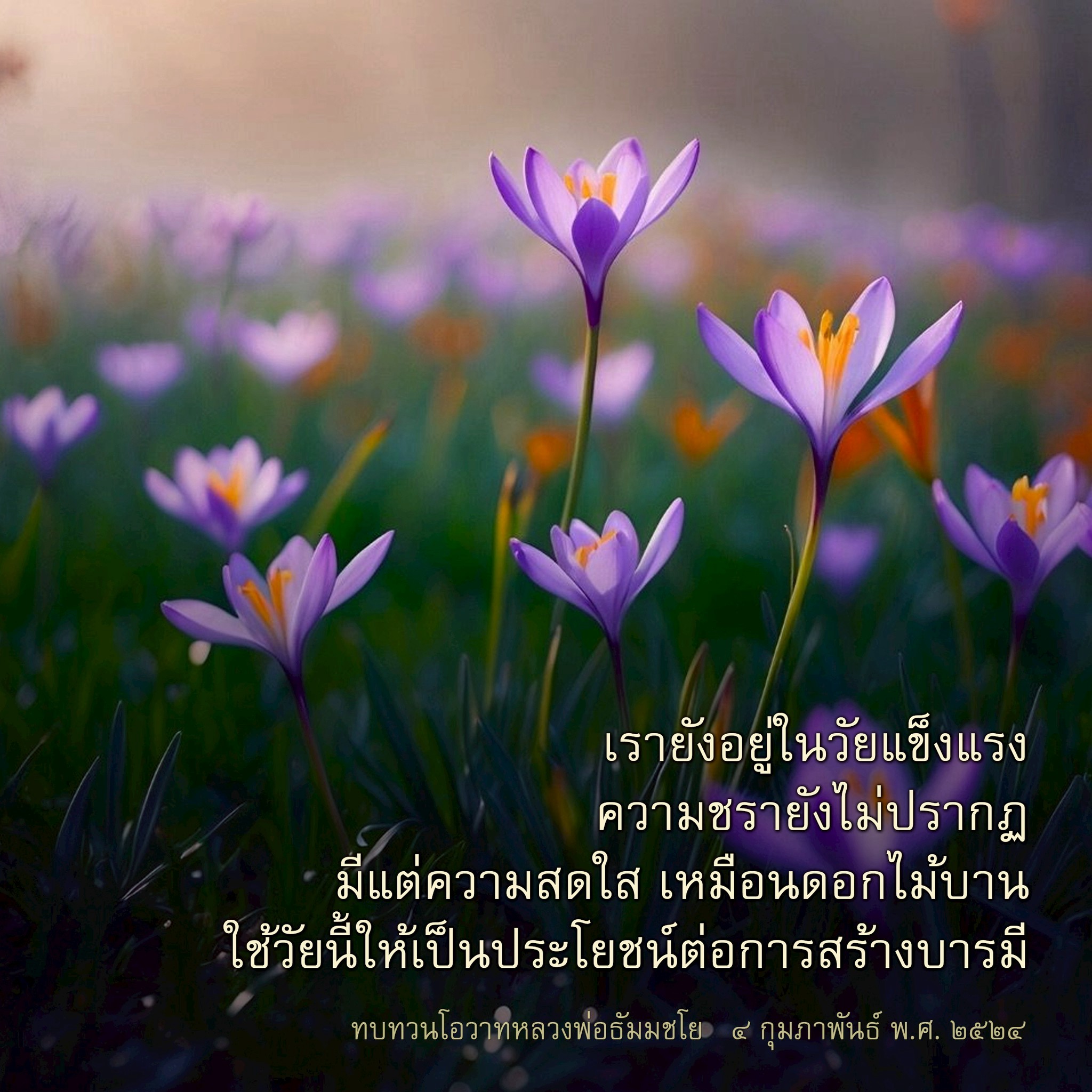ใช้วัยแข็งแรงสร้างบารมีตามโอวาทหลวงพ่อธัมมชโย